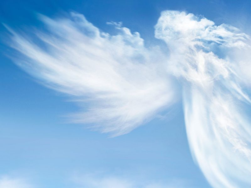 Von den Engeln lernen: Auf der Reise zum göttlichen Seelenplan – Engelmedium Johael